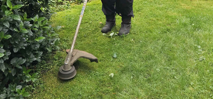 Tuinonderhoud door Tiggelaven Groenbeheer